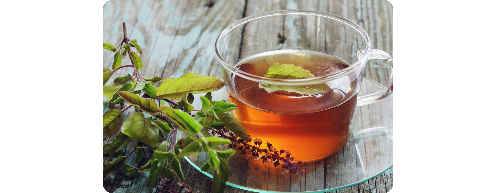 Návrh bez názvu - 2024-05-16T100015.271